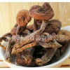 野芝润东北特产野生榛蘑特级榛蘑绿色菌类品质上乘