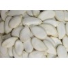 雪白白瓜子