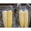 速冻玉米