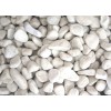 白云石子