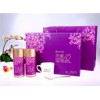紫椴43.礼盒装