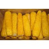 玉米