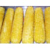 速冻玉米