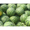 洮南西瓜