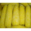 速冻粘玉米
