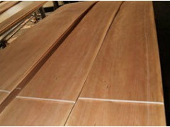 单板木材1