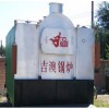 型煤锅炉