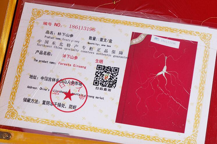 东北吉林特产 长白山林下参批发 带证书礼盒装野山参泡酒滋补
