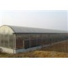 内蒙古日光温室|包头市日光温室