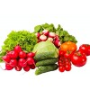 蔬菜专用有机肥