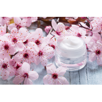 創新化妝品原料