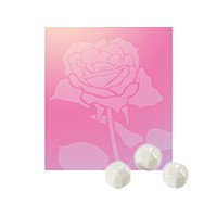 N003-2 奈米能量美容瓷