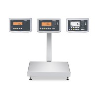 Combics 高精度 / 防爆磅秤