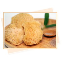 天貝益菌猴頭菇 - (冷凍食品)