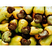 腰果 花生 面包树果