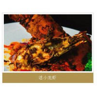 活小龙虾
