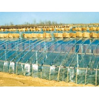 环保型聚氯乙烯防雾无滴棚膜