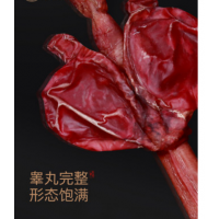 梅花鹿花马鹿鞭整根50克