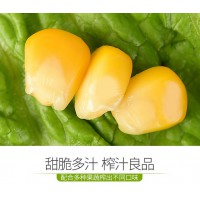 水果甜玉米粒