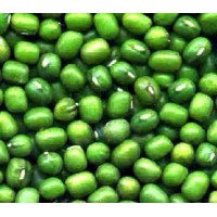 优质一级.二级.三级东北绿豆