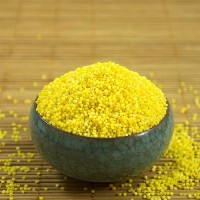 乾安特色黄小米 散装小米批发销售
