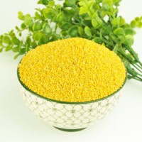 乾安黄小米 泥花散小米 农家米自产自销