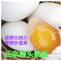 鹅蛋