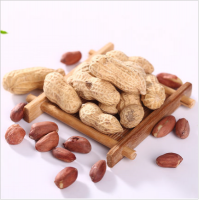 花生白城市喜彬农副产品合作社直销花生