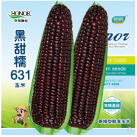 黑糯玉米种子