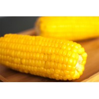 黄糯玉米