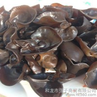 东北木耳东北特产食用菌