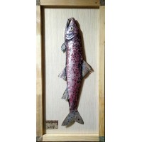 鲑鱼（下单立即订做需等待）