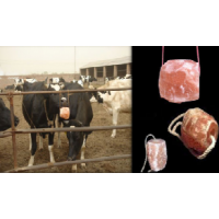 阿克玛喜马拉雅粉红盐牛舔