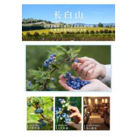 万通野生蓝莓酒低度女生微醺晚安发酵果酒随酌朋友小聚伴手礼正品