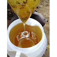 长白山椴树蜜  原料蜜 药厂蜜