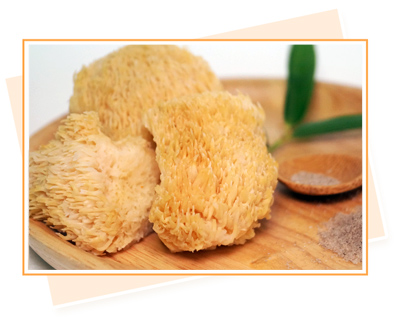 天貝益菌猴頭菇 - (冷凍食品)
