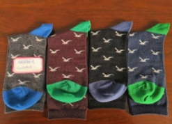 The gentleman socks