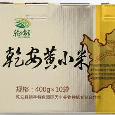 天津黄小米厂家，天津黄小米价格，天津黄小米总代理