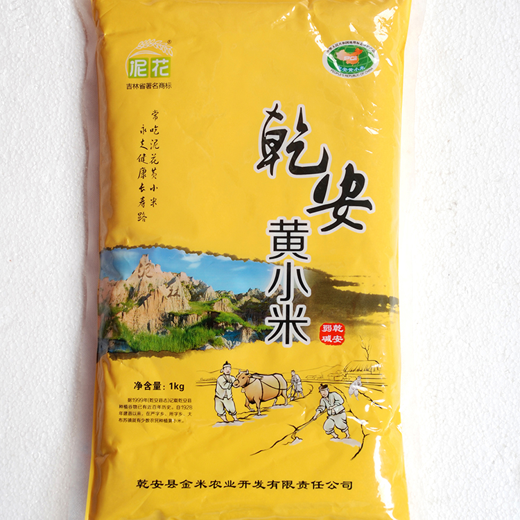 泥花乾安黄小米 东北黄小米 黄小米大量批发