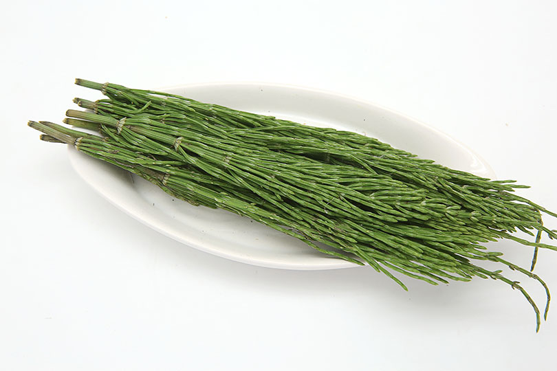 问荆草
