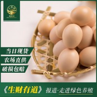 三板福森林蚯蚓土鸡蛋40枚快递装（稻壳加纸箱）