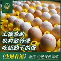 三板福森林蚯蚓土鸡蛋60枚快递装（防震珍珠棉）